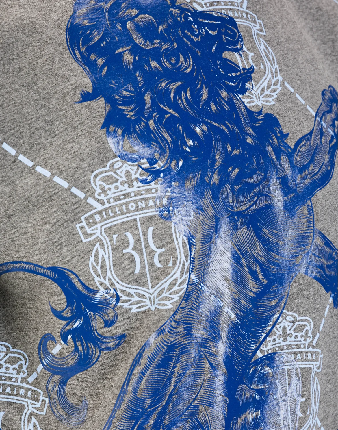 T-shirt Round Neck SS "Lions", цвет: Серый
