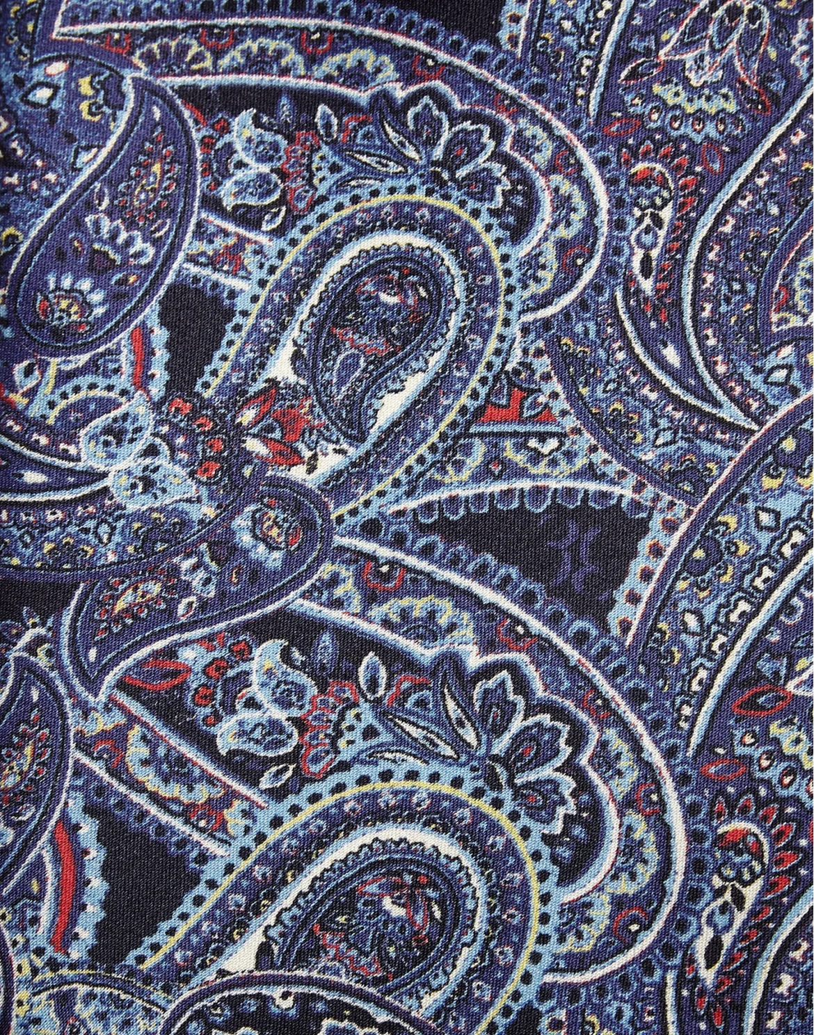 Tight Tie Paisley, цвет: Синий