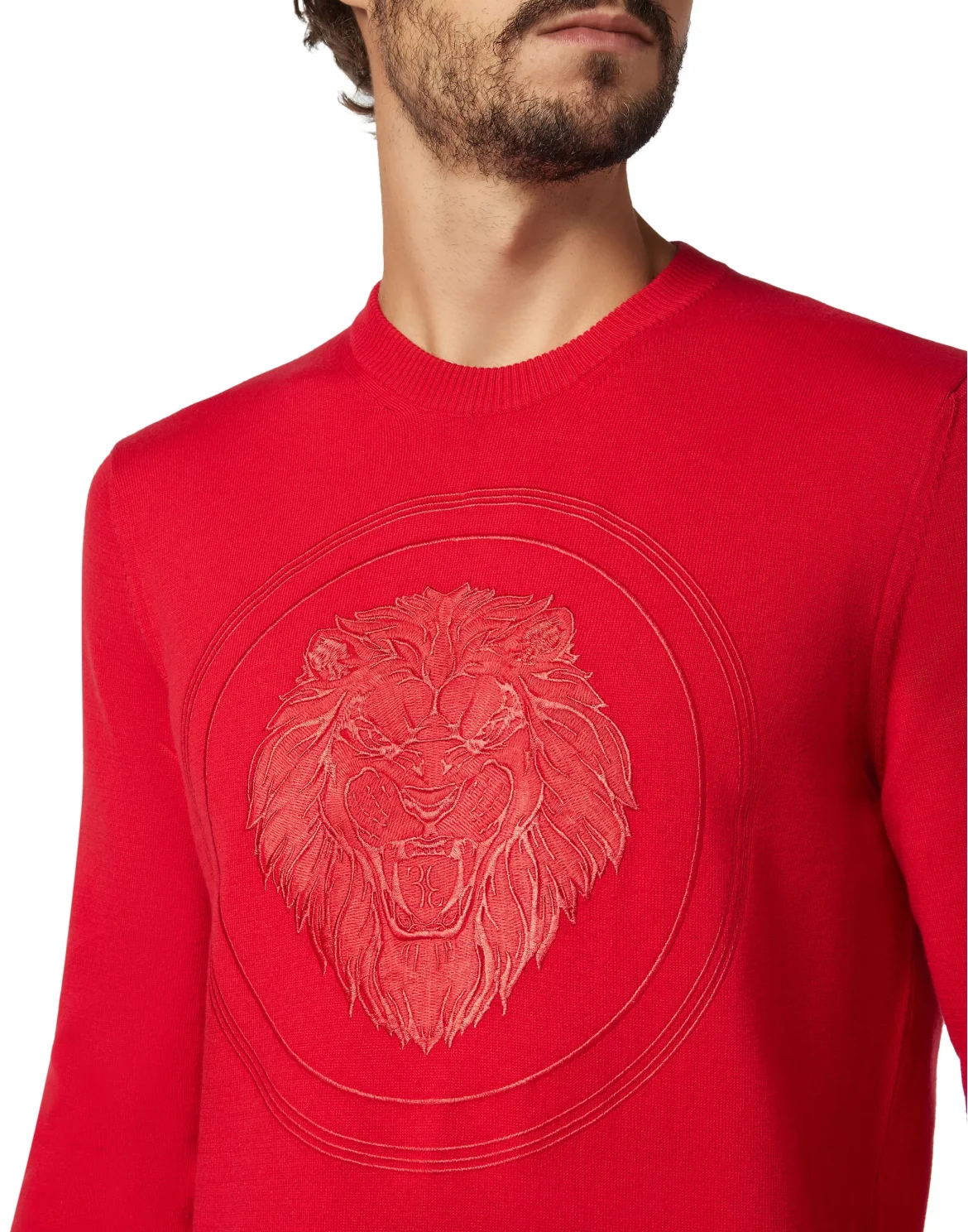 Pullover Round Neck LS Lion, цвет: Красный