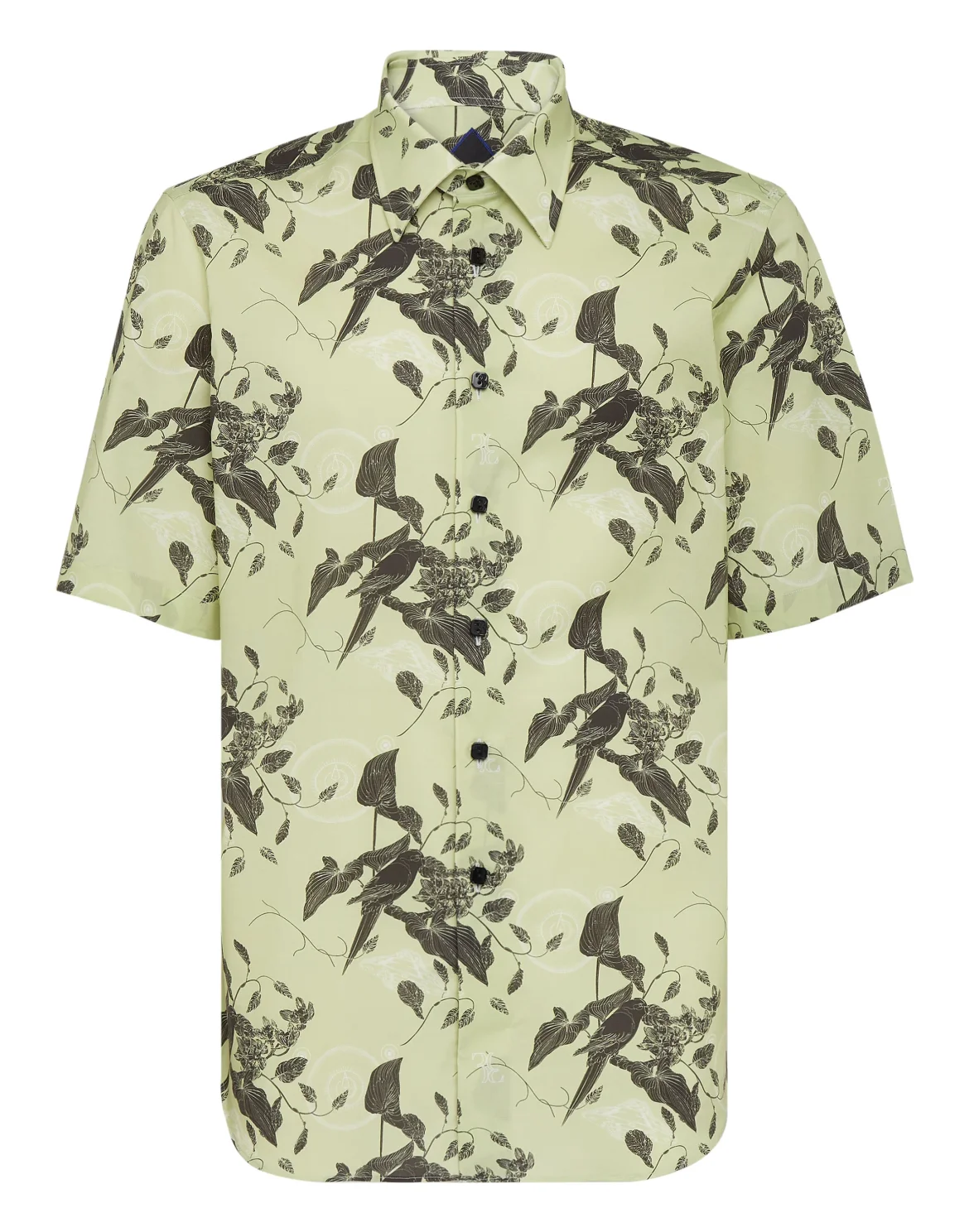 Shirt Silver Cut SS Billionaire in the space, цвет: Зеленый