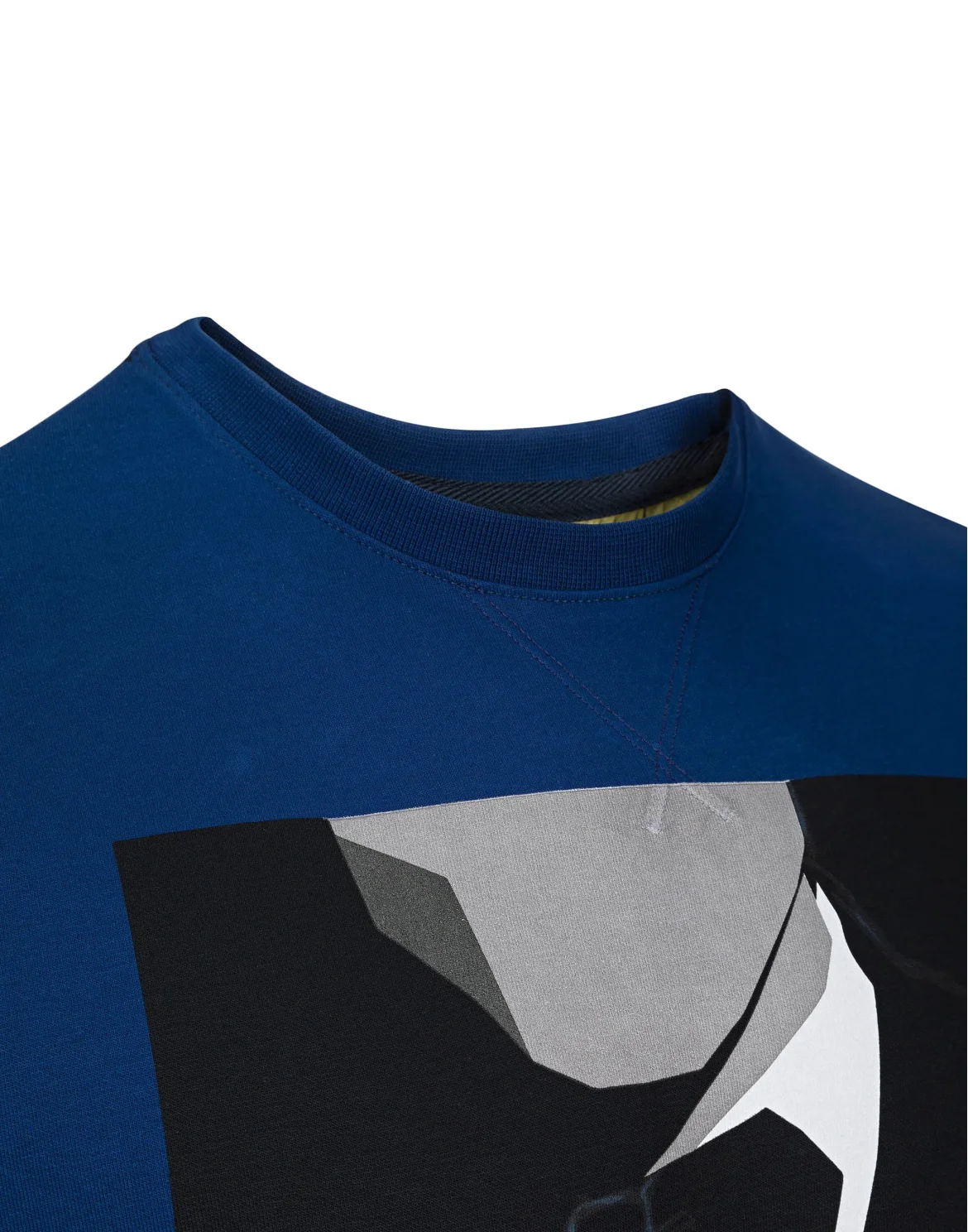 Sweatshirt LS "Chester", цвет: Синий
