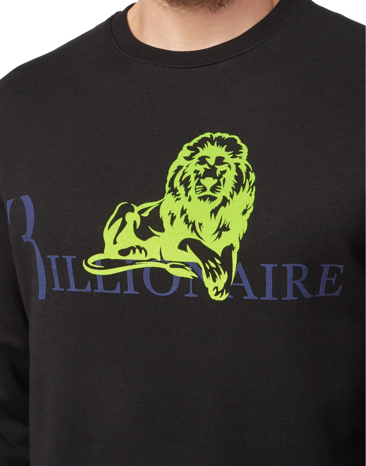 Sweatshirt LS Lion, цвет: Черный