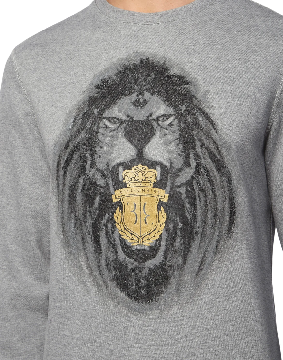 Sweatshirt LS Lion, цвет: Серый