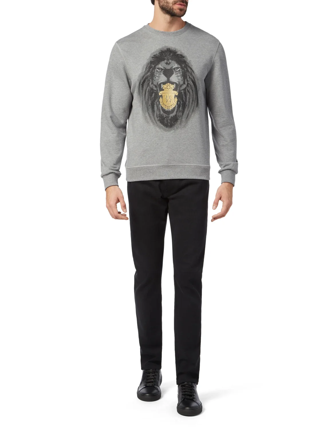 Sweatshirt LS Lion, цвет: Серый