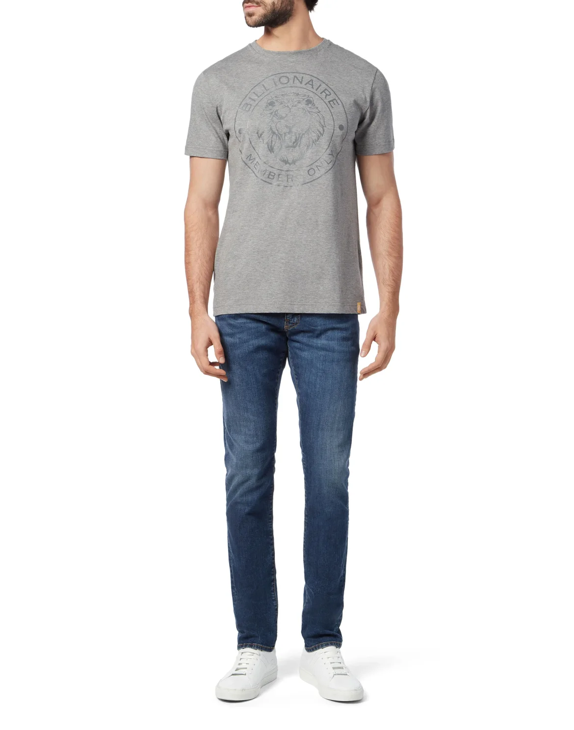 T-shirt Round Neck SS Lion, цвет: Серый