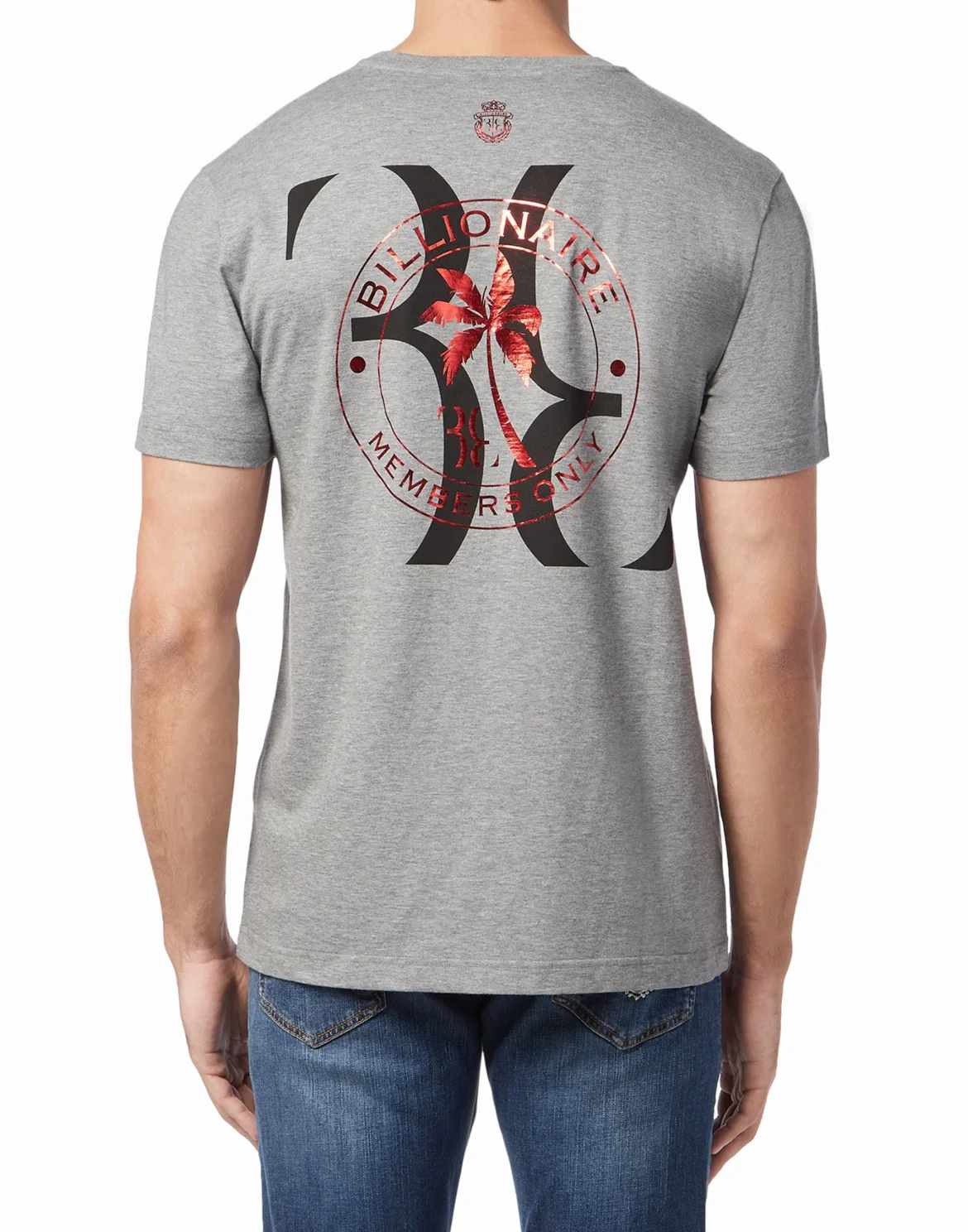 T-shirt Round Neck SS Palms, цвет: Серый
