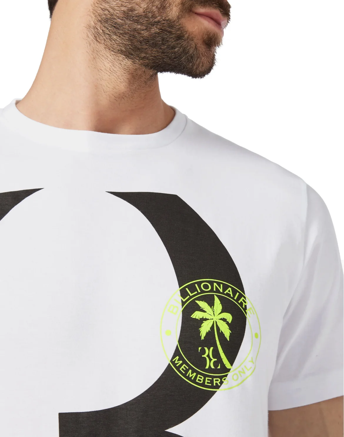 T-shirt Round Neck SS Palms, цвет: Белый