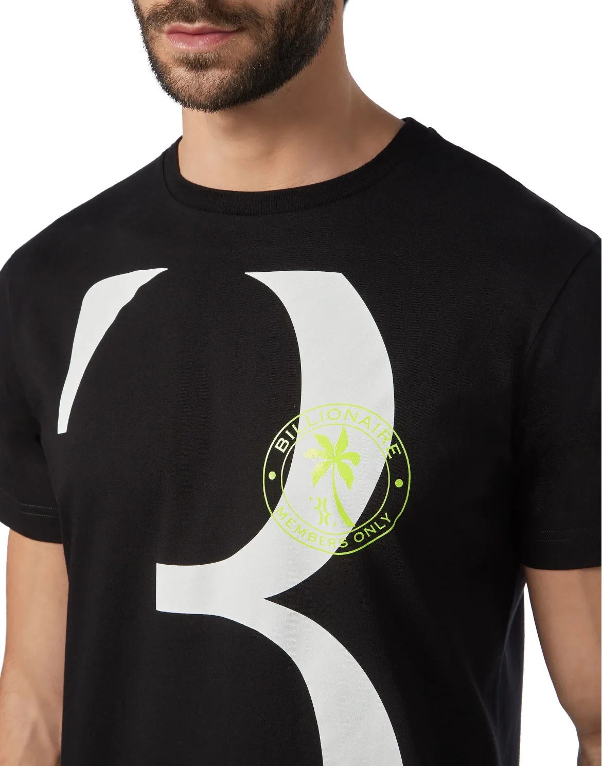 T-shirt Round Neck SS Palms, цвет: Черный