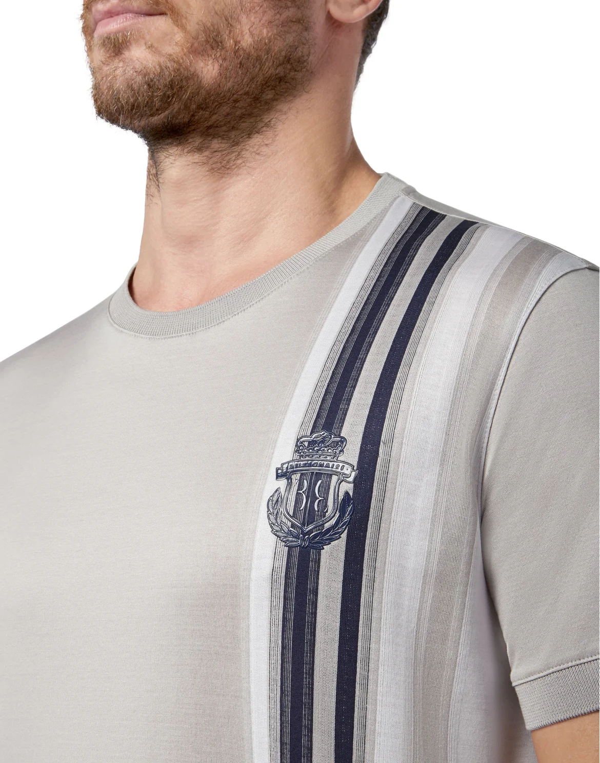 T-shirt Round Neck SS Stripes, цвет: Серый