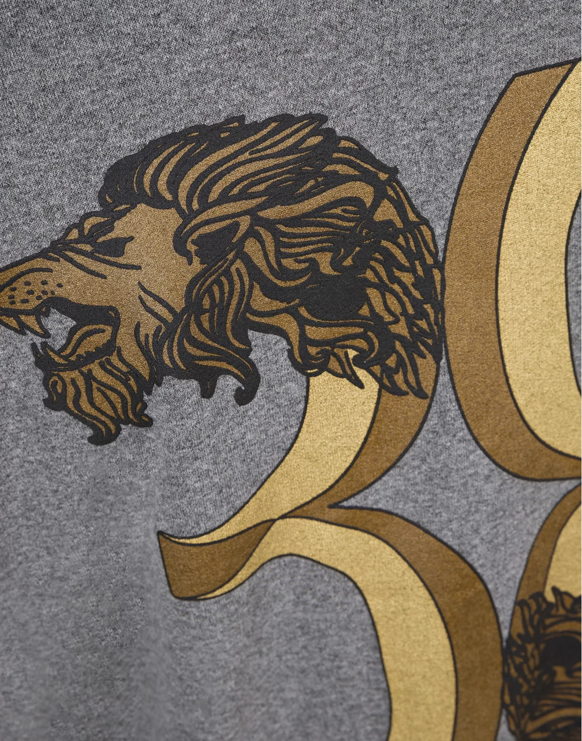 Hoodie Sweatjacket Double Lion, цвет: Серый