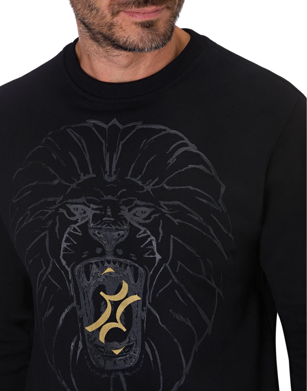 Sweatshirt LS Lion, цвет: Черный