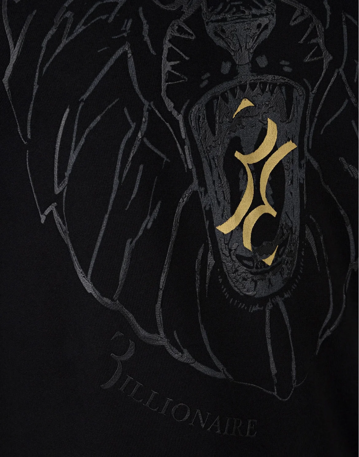 Sweatshirt LS Lion, цвет: Черный