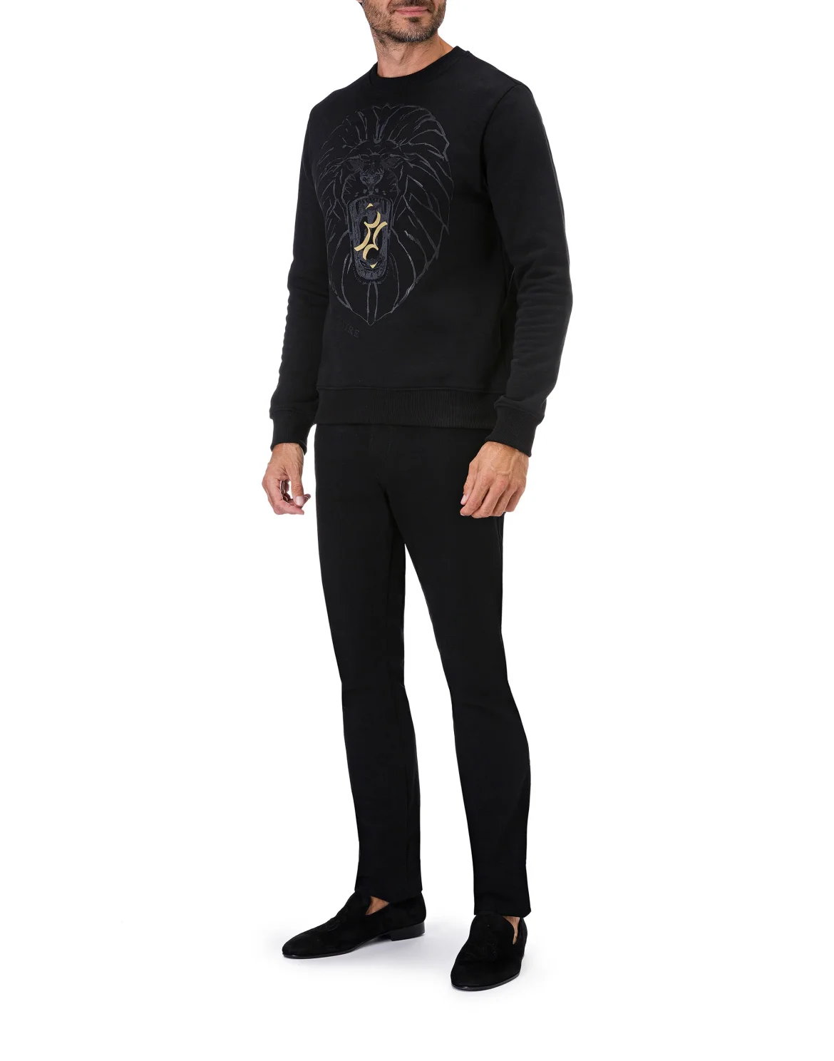 Sweatshirt LS Lion, цвет: Черный