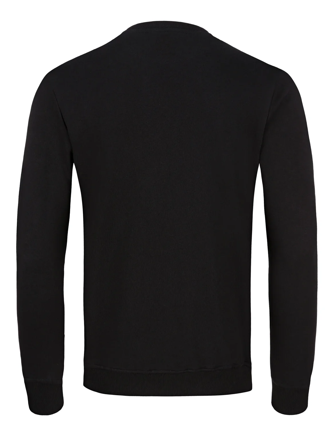 Sweatshirt LS Lion, цвет: Черный