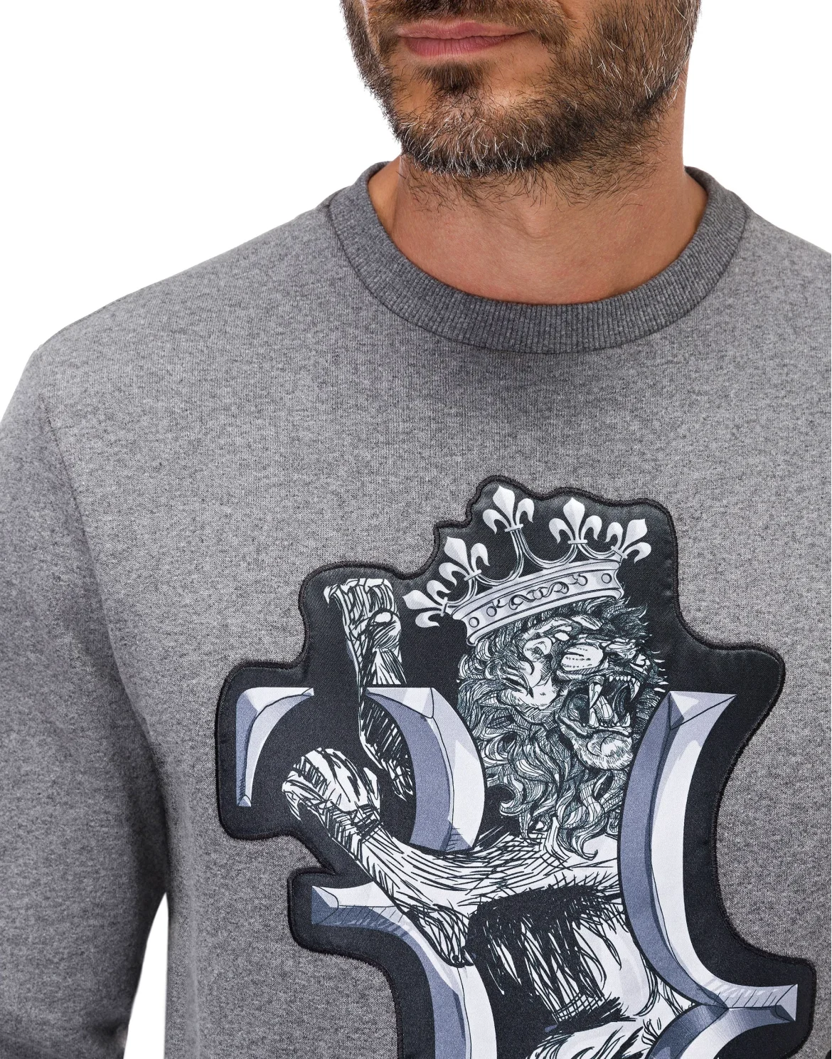 Sweatshirt LS Lion, цвет: Серый