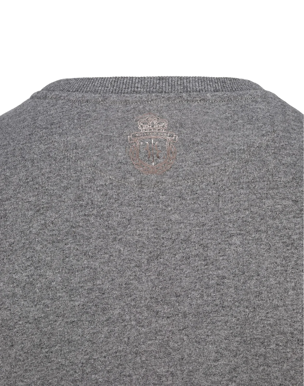 Sweatshirt LS Lion, цвет: Серый
