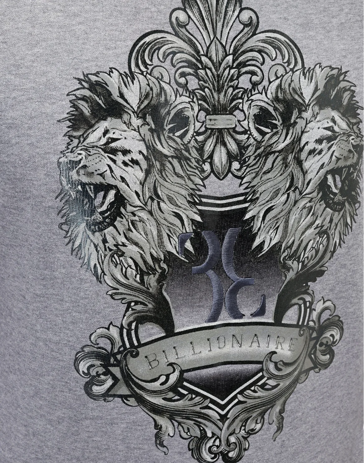 Sweatshirt LS Lion, цвет: Серый