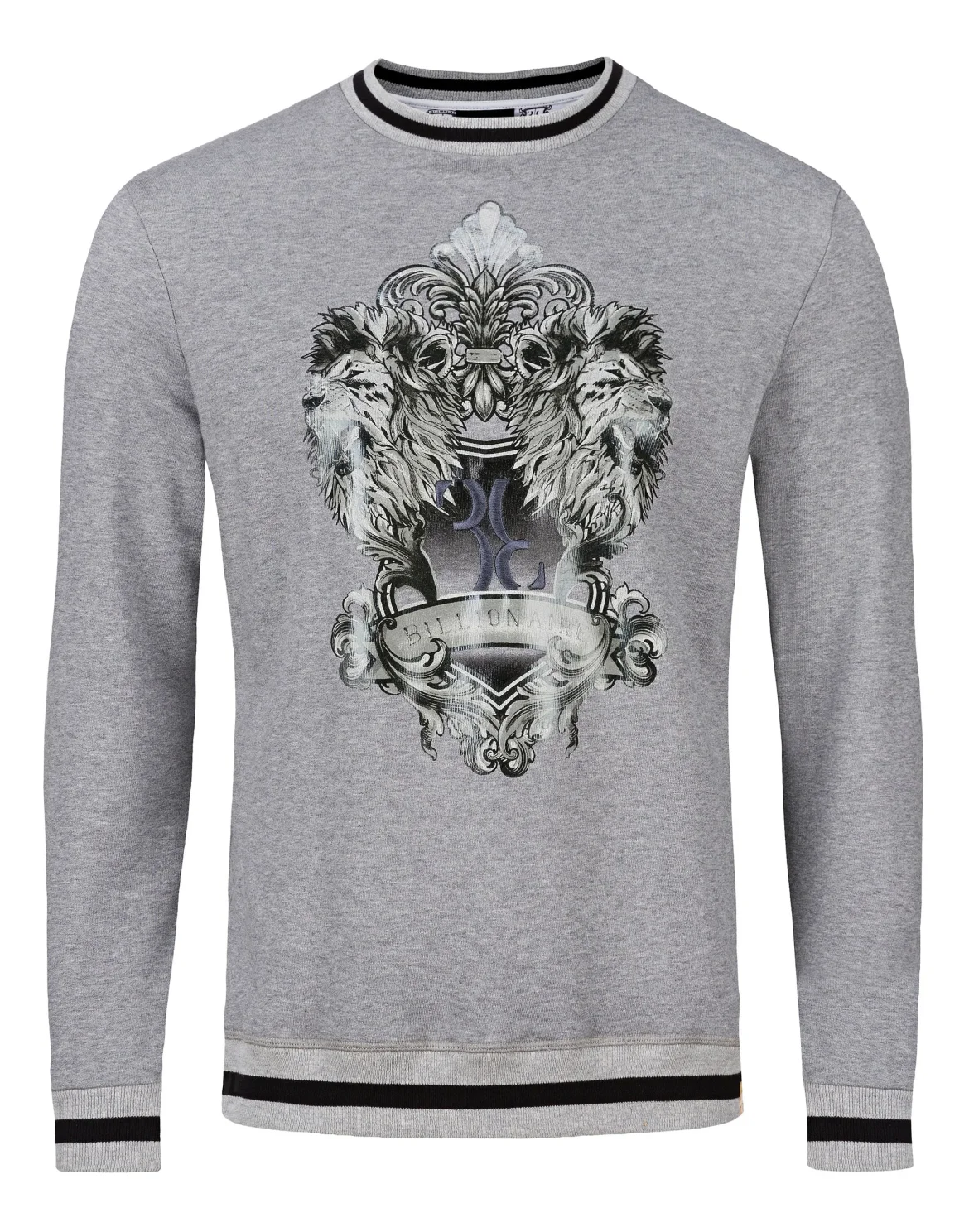 Sweatshirt LS Lion, цвет: Серый