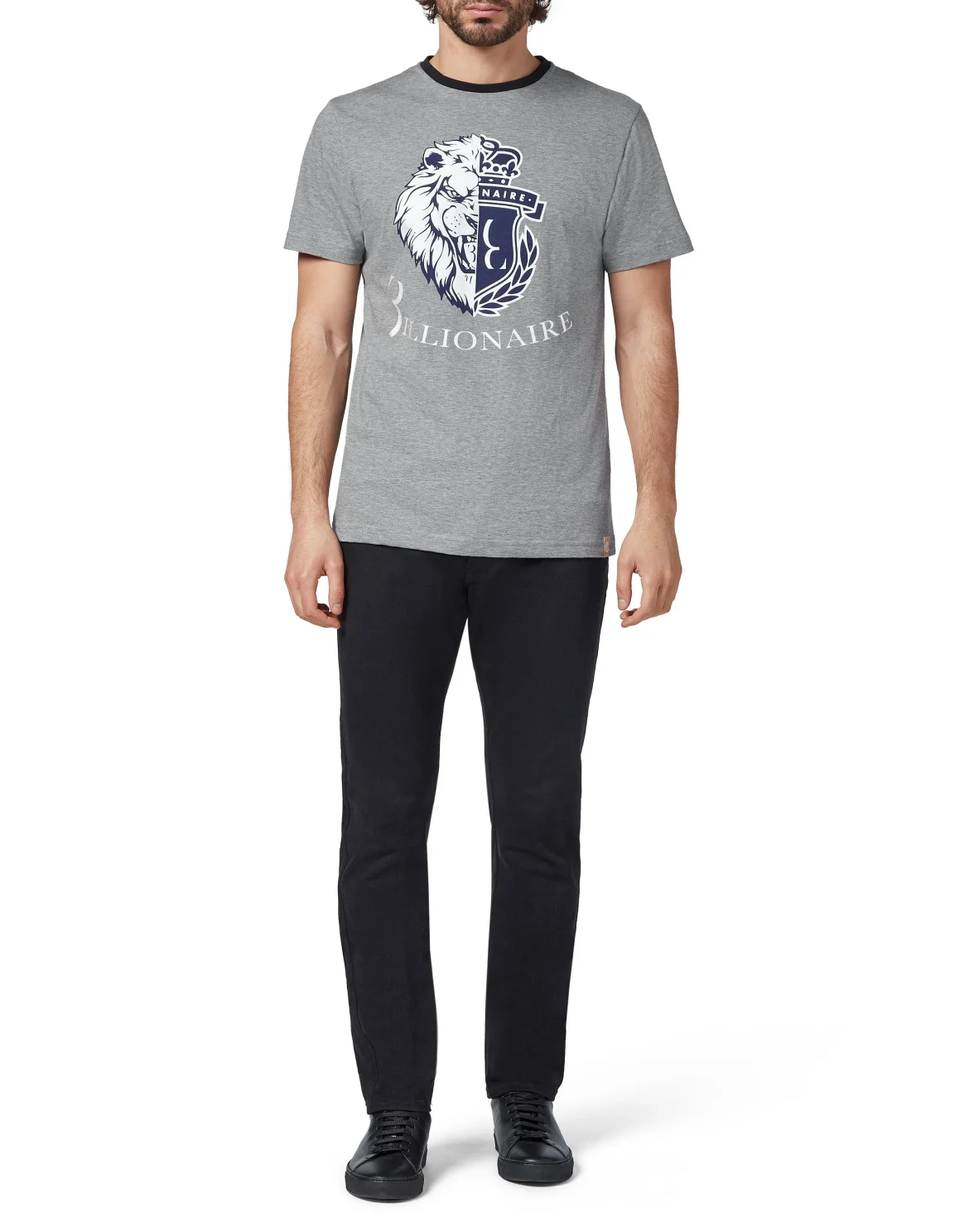 T-shirt Round Neck SS Lion, цвет: Серый