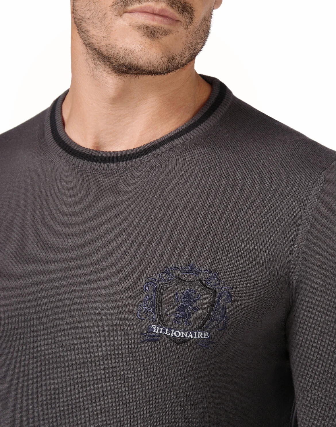 Pullover Round Neck LS Lion, цвет: Серый
