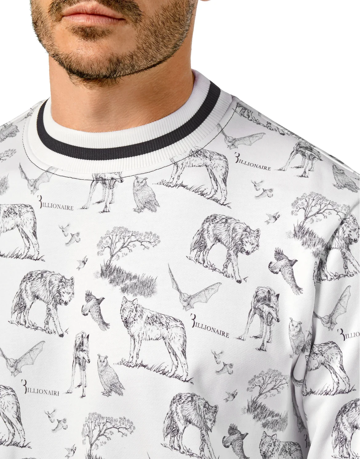 Sweatshirt LS Wolf, цвет: Белый