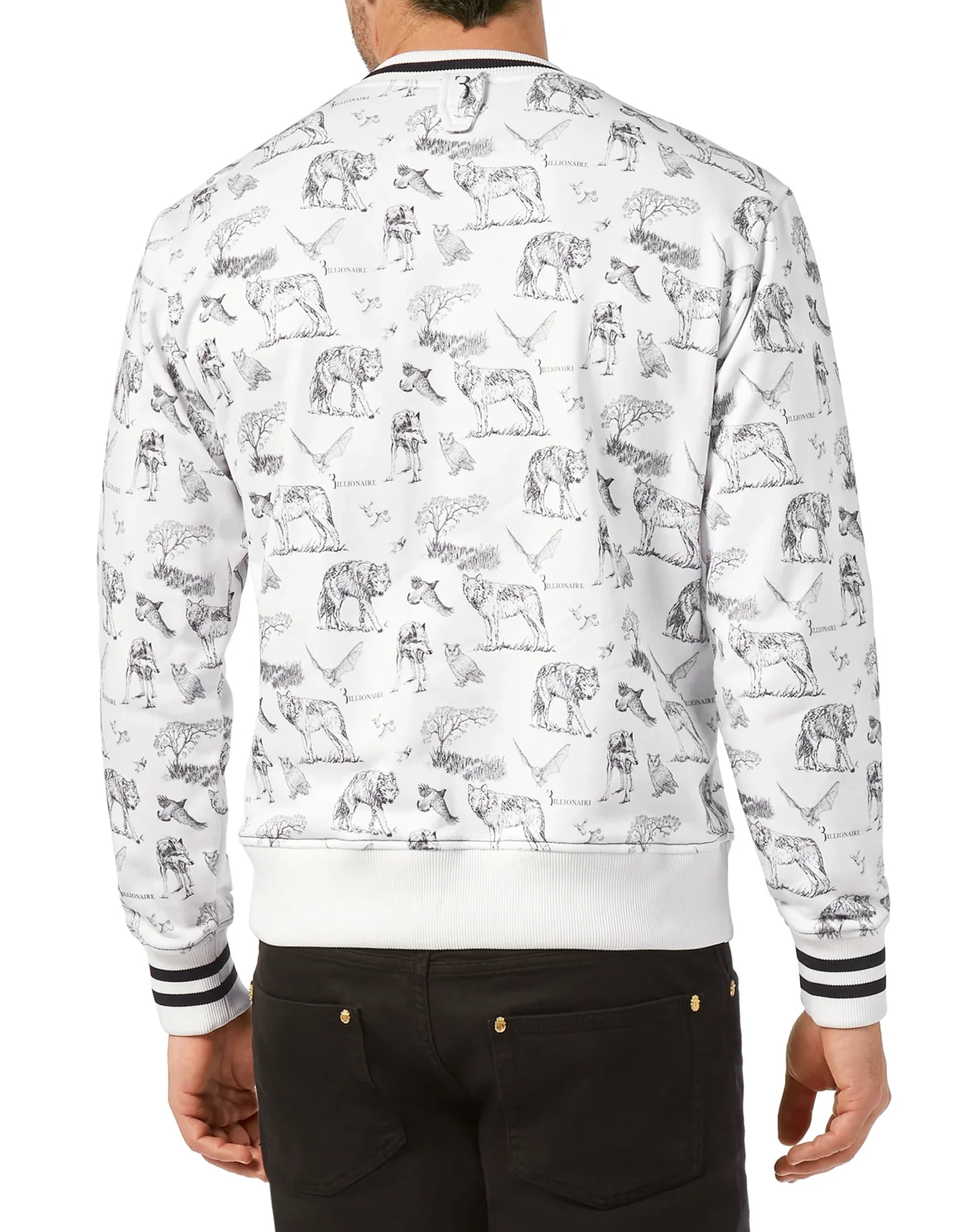 Sweatshirt LS Wolf, цвет: Белый