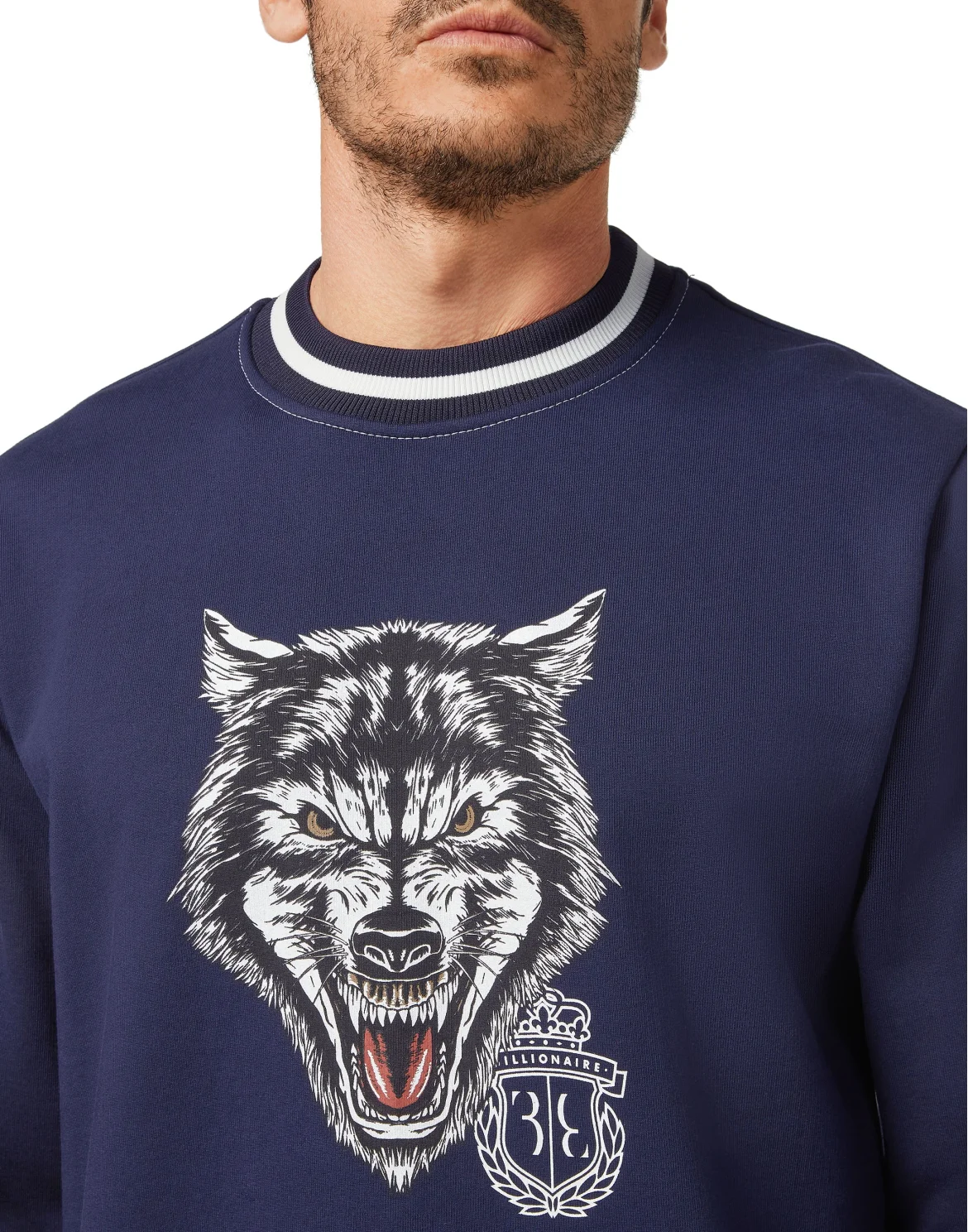 Sweatshirt LS Wolf, цвет: Синий