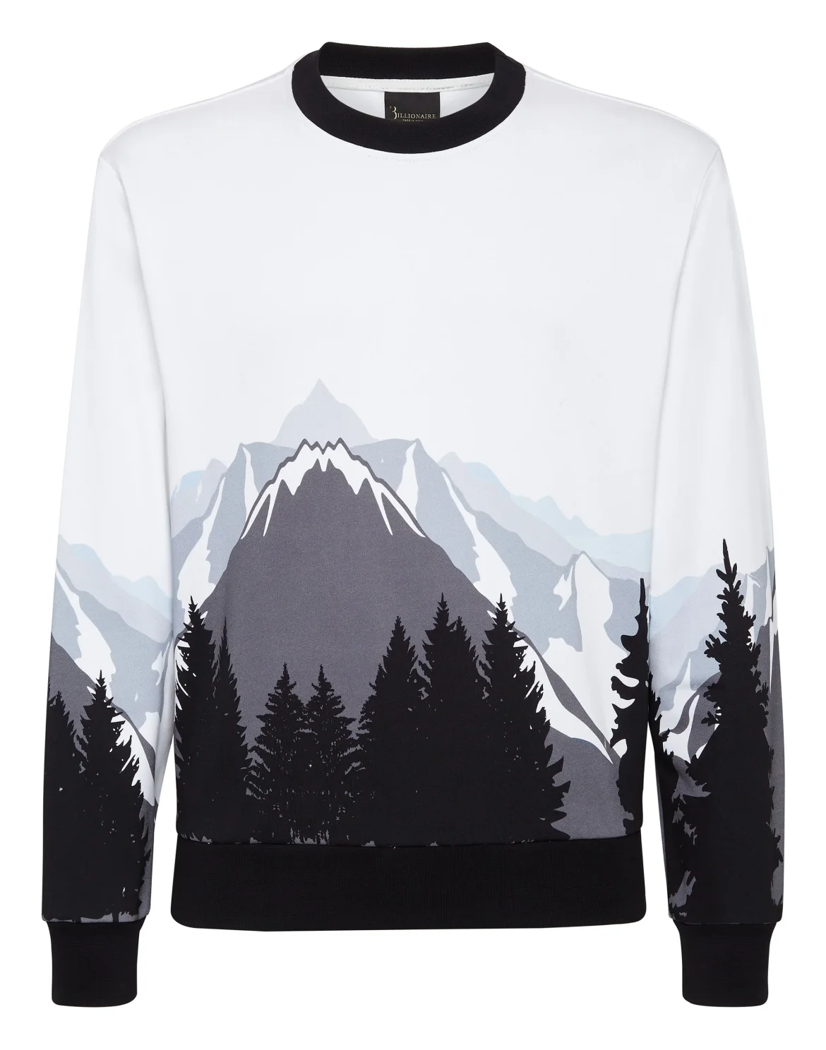 Sweatshirt LS Landscape, цвет: Белый