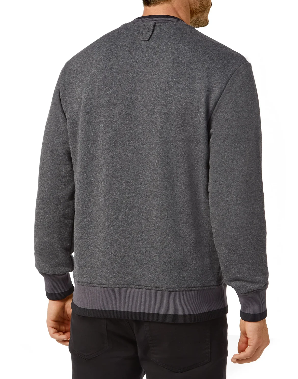 Sweatshirt LS Crest, цвет: Серый