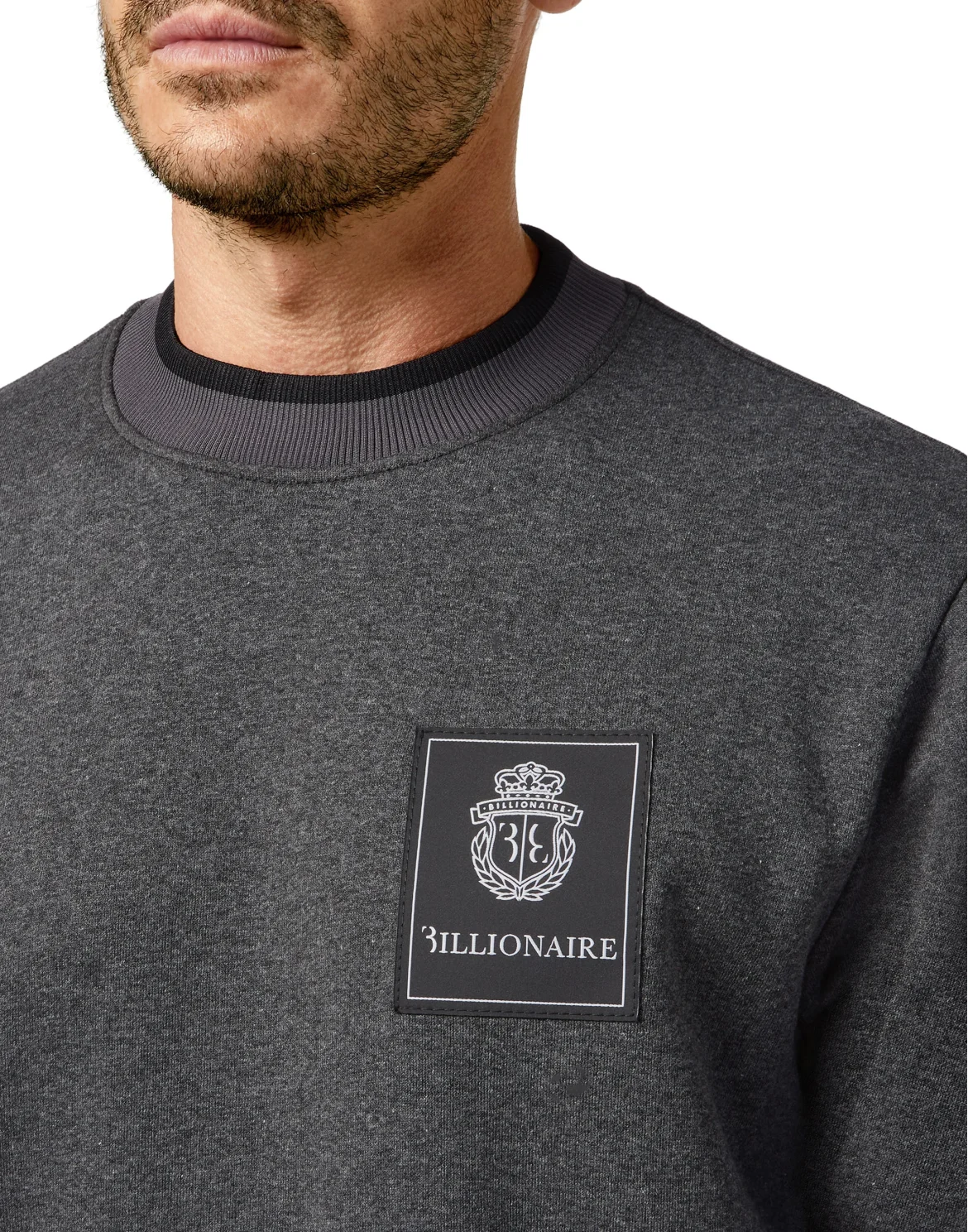Sweatshirt LS Crest, цвет: Серый