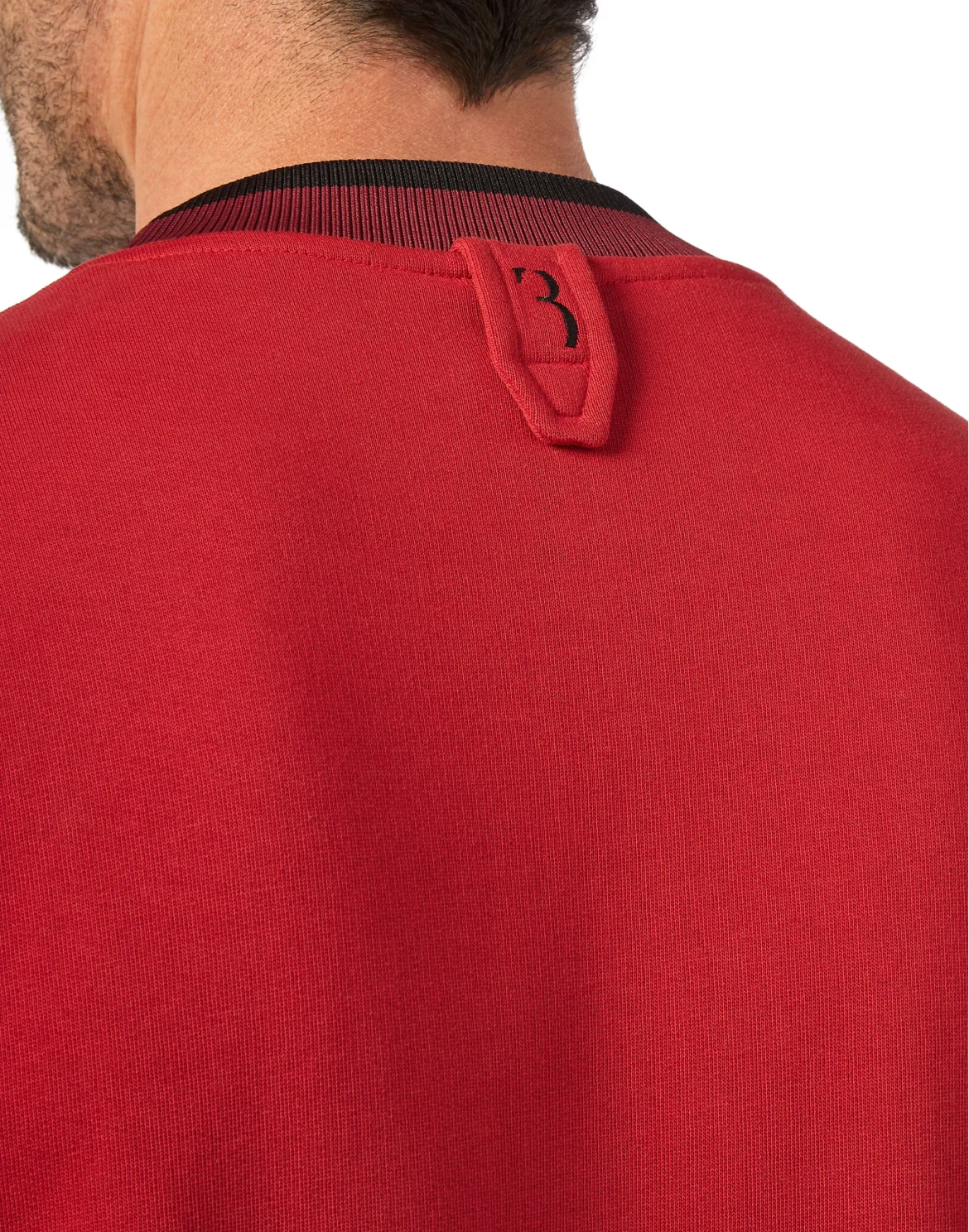 Sweatshirt LS Crest, цвет: Красный