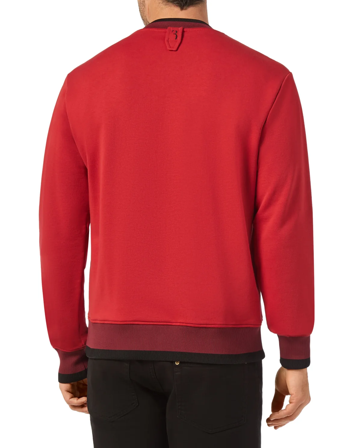 Sweatshirt LS Crest, цвет: Красный