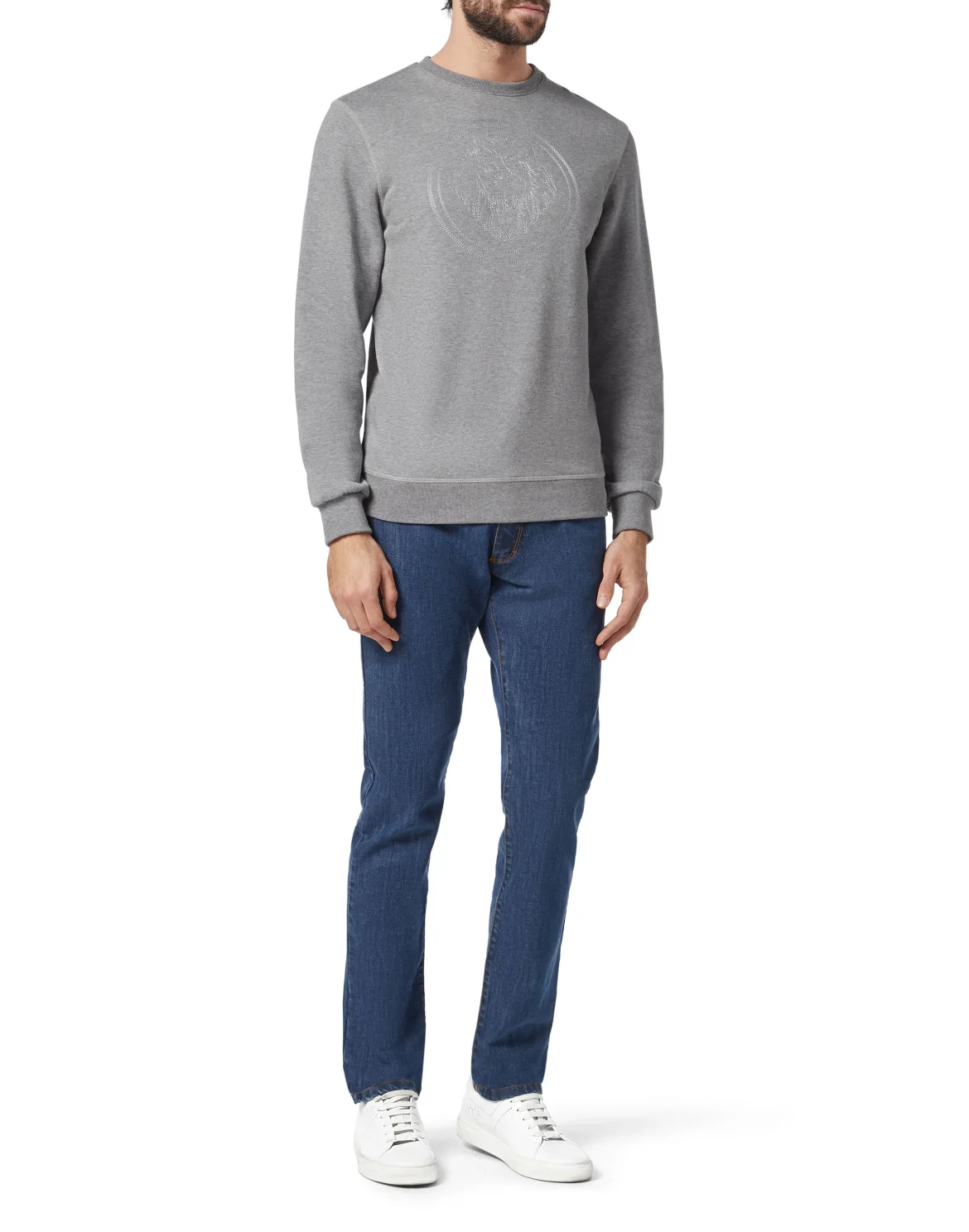 Sweatshirt LS Lion, цвет: Серый