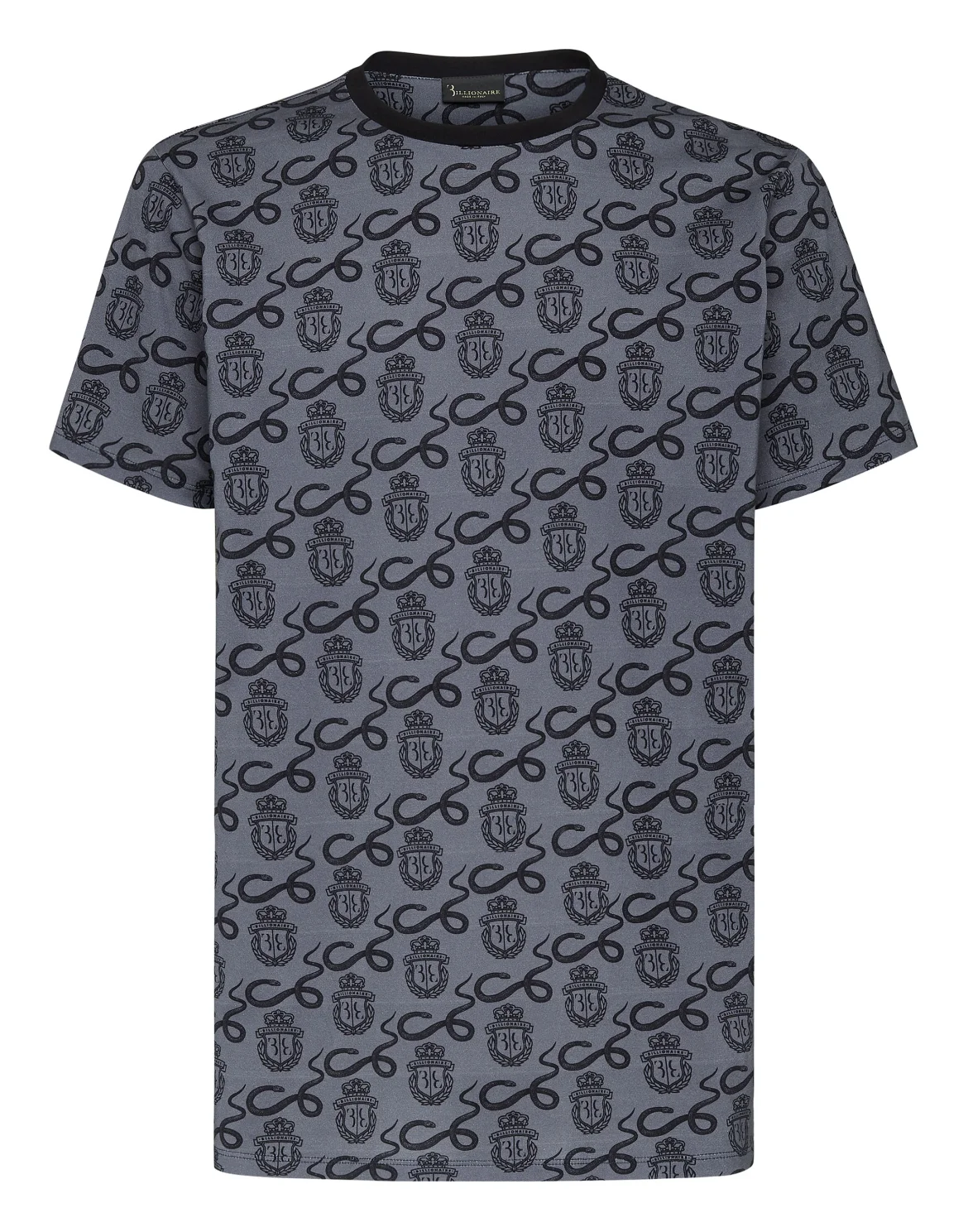 T-shirt Round Neck SS  Snake, цвет: Серый