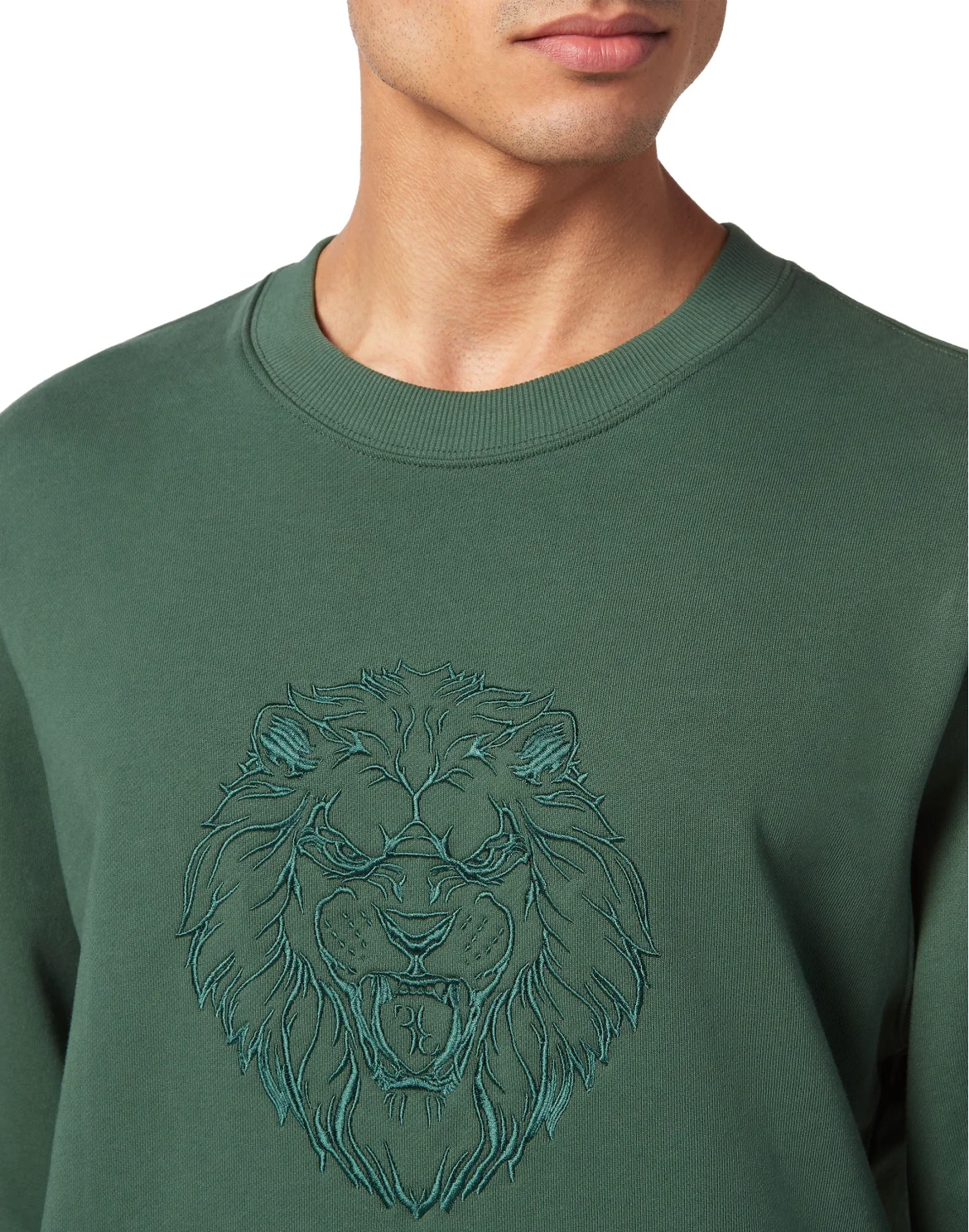 Sweatshirt LS, цвет: Зеленый