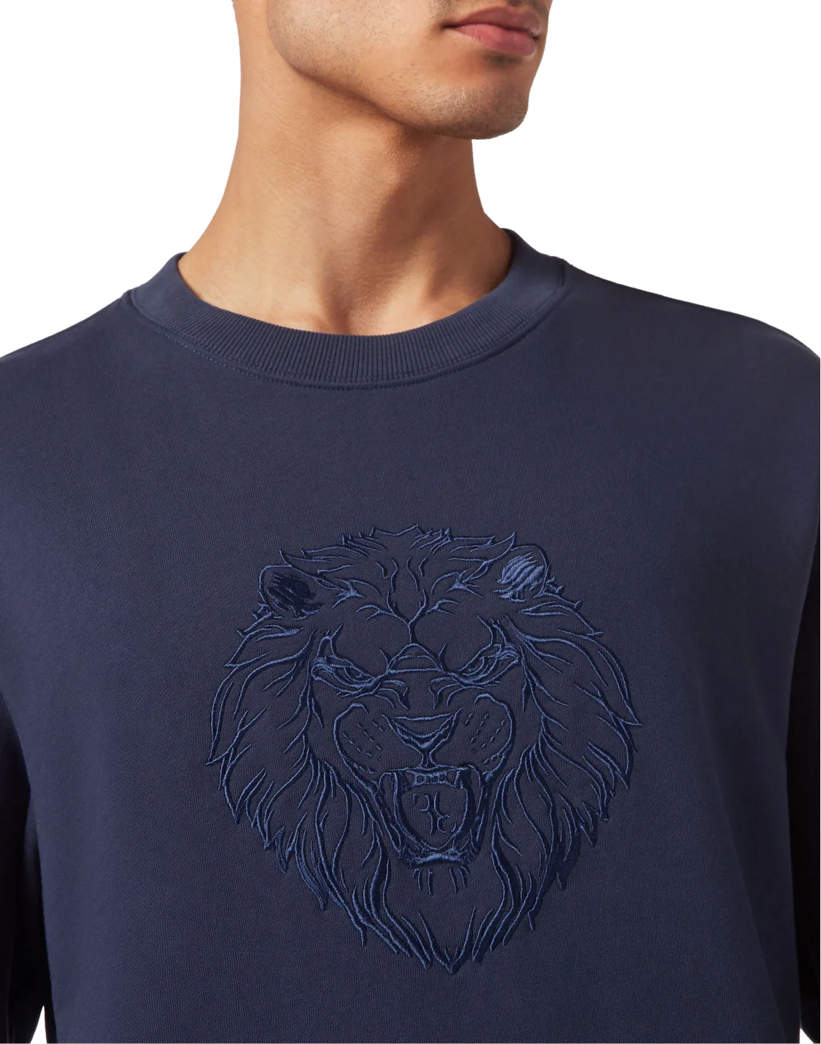 Sweatshirt LS, цвет: Синий